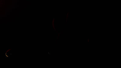 VIVIFIE VELORA Rabbit sex toy video 1