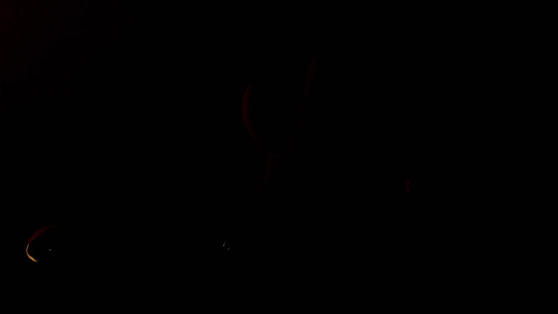 VIVIFIE VELORA Rabbit sex toy video 1